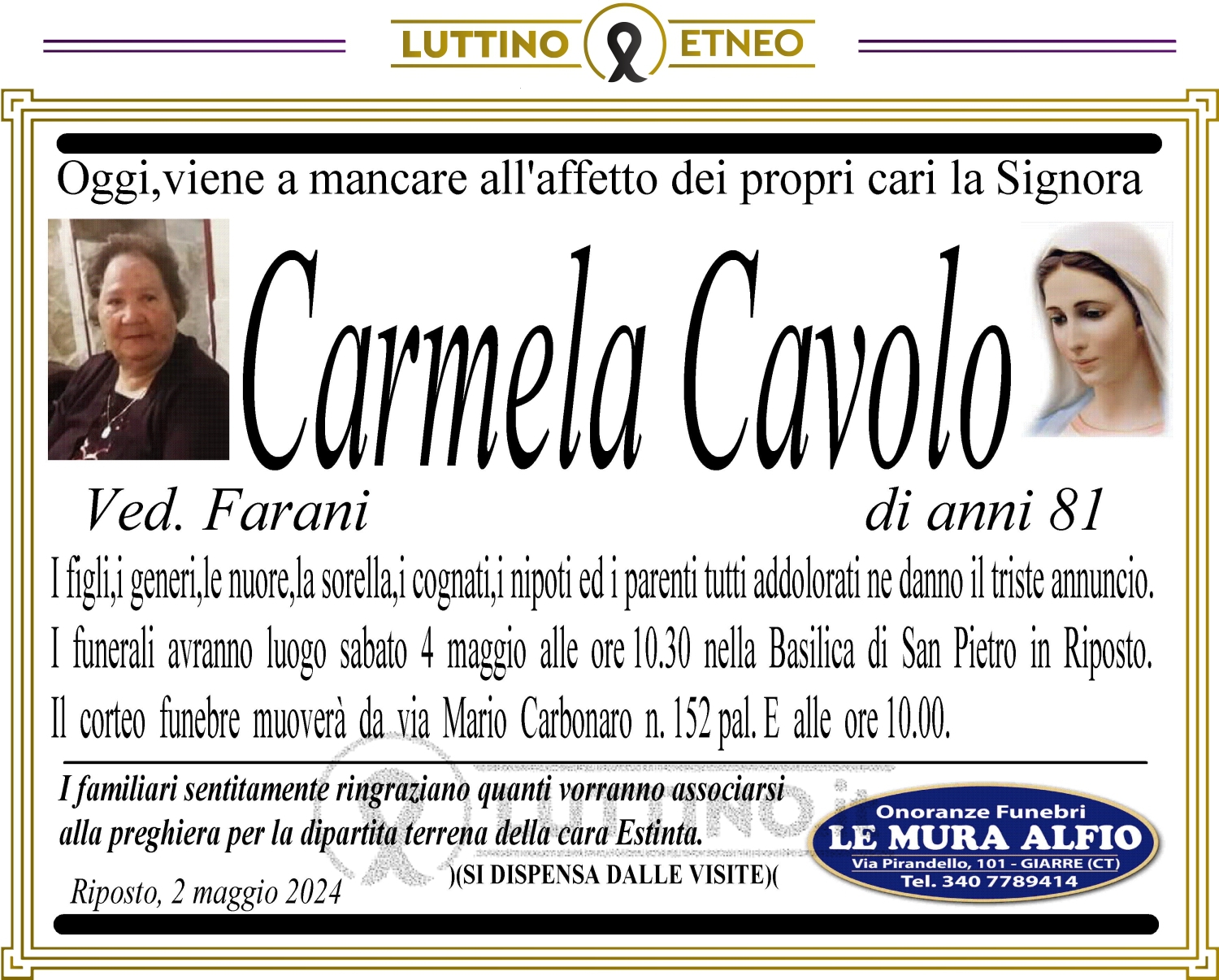 Carmela  Cavolo